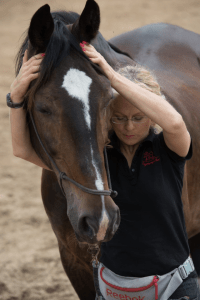 terapia czaszkowo-krzyżowa koni